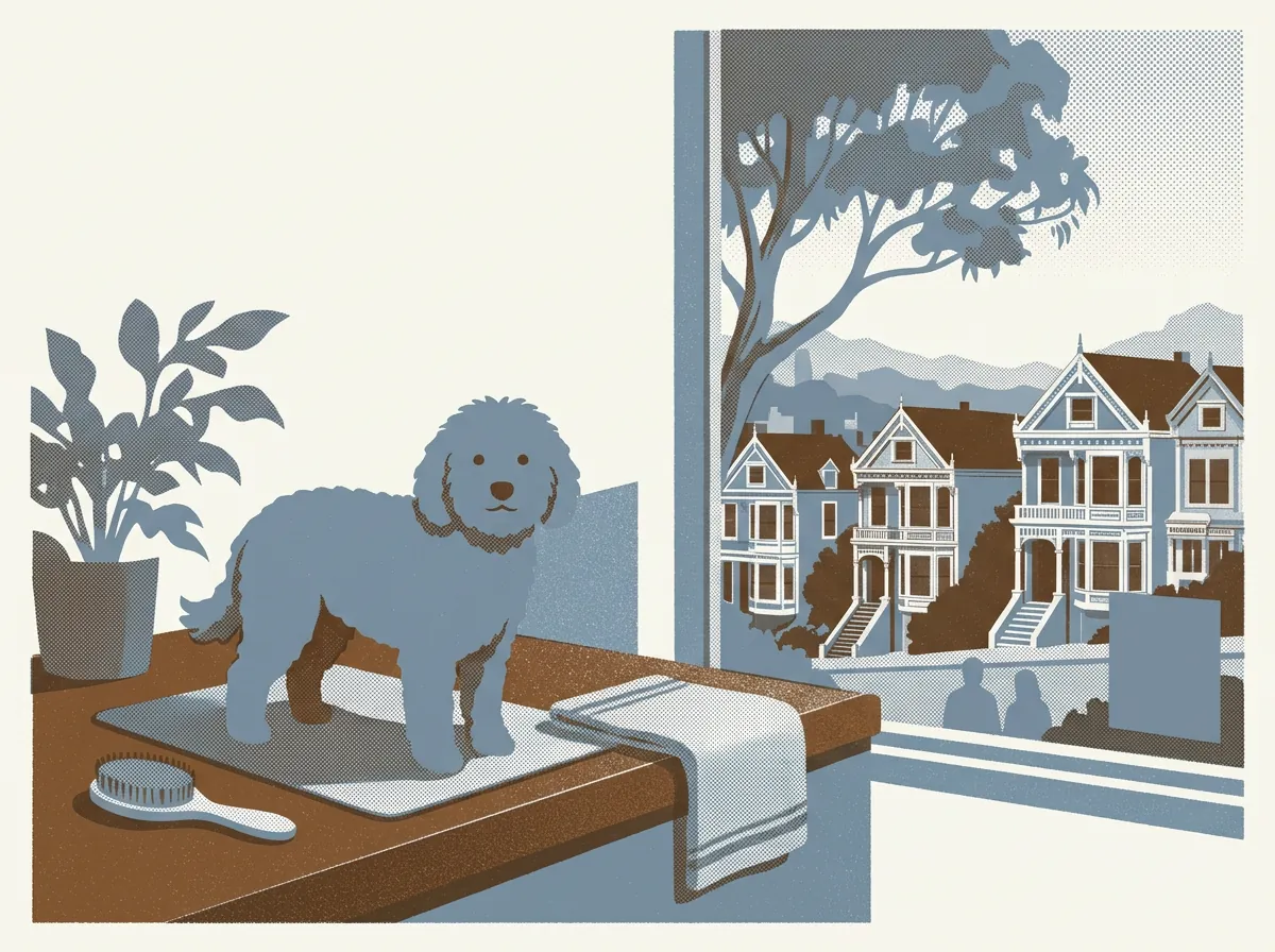 Illustration of dog groomers in Cole Valley